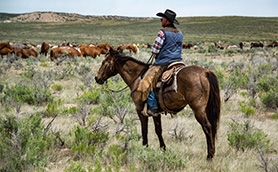 Back in the Saddle: How Robotic Knee Replacement is Getting Oklahoma Cowboys and Rodeo Rid...