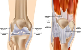 Comparing Surgical Techniques: Subvastus vs. Traditional Approaches in Robotic Knee Arthroplasty