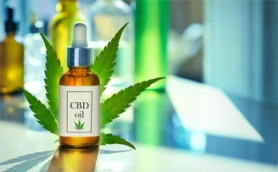 Does CBD oil really help with musculoskeletal pain?