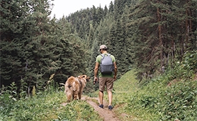 Preserving Muscle Integrity: The Benefits of the Subvastus Approach in Robotic Knee Replacement