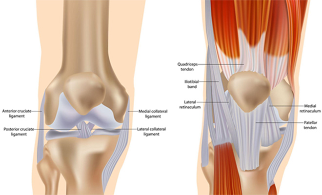 Comparing Surgical Techniques: Subvastus vs. Traditional Approaches in Robotic Knee Arthroplasty
