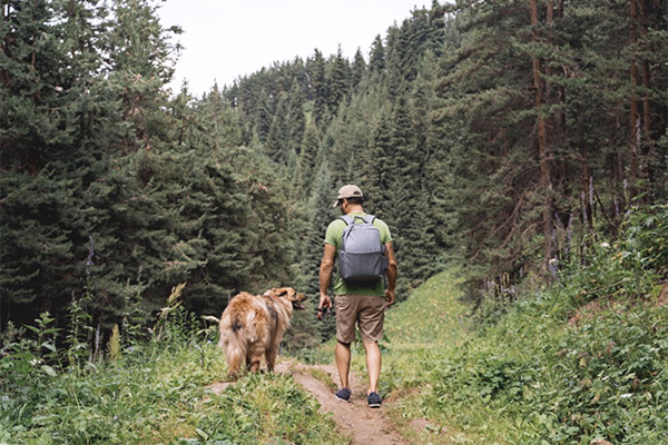 Preserving Muscle Integrity: The Benefits of the Subvastus Approach in Robotic Knee Replacement